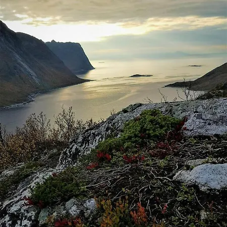 Apartment Waterfront Senja 2 Torsken