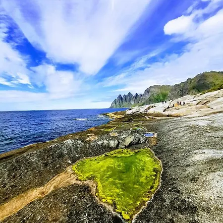Waterfront Senja 2