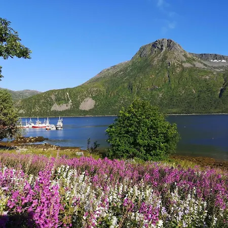 Waterfront Senja 2